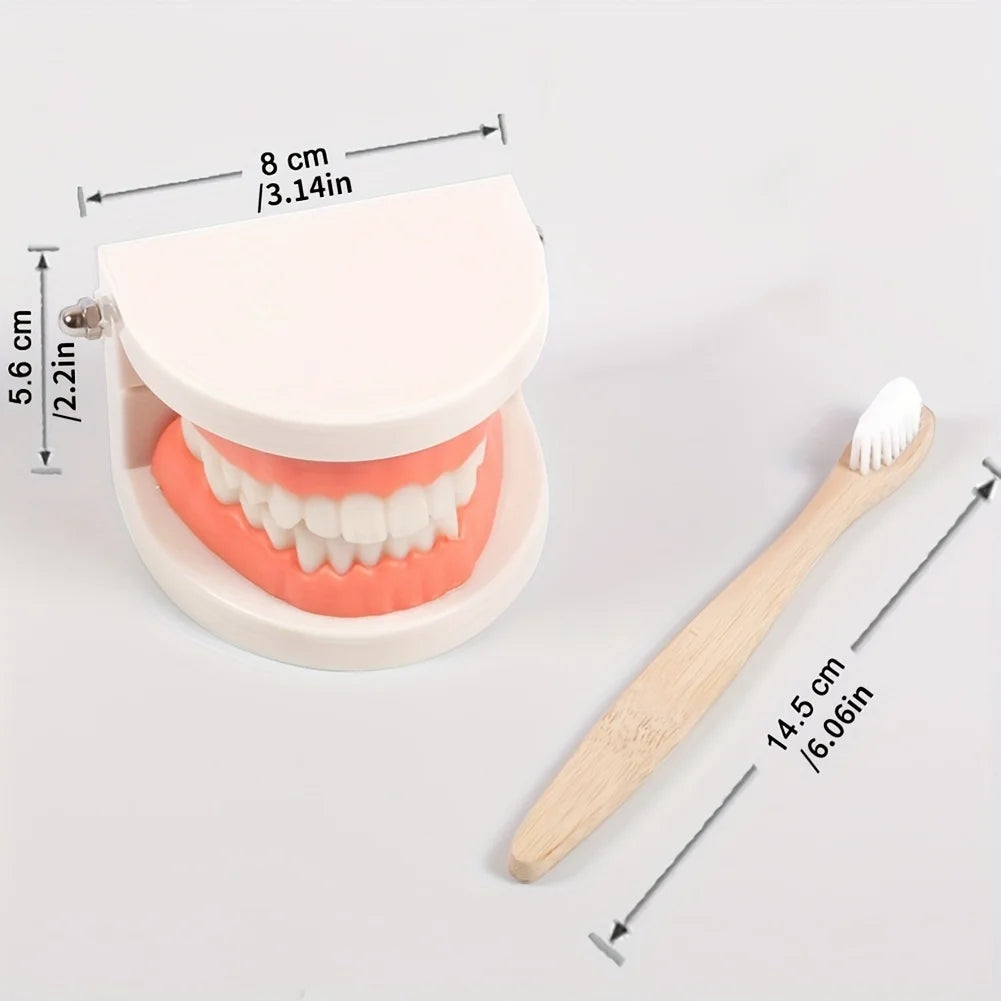 Dentier et brosse à dents : apprendre à se brosser les dents